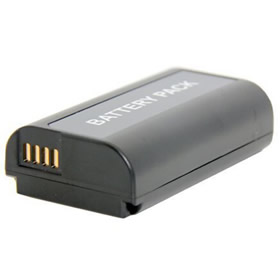 Batterie Rechargeable Lithium-ion de Panasonic Lumix DC-S1HMKIT