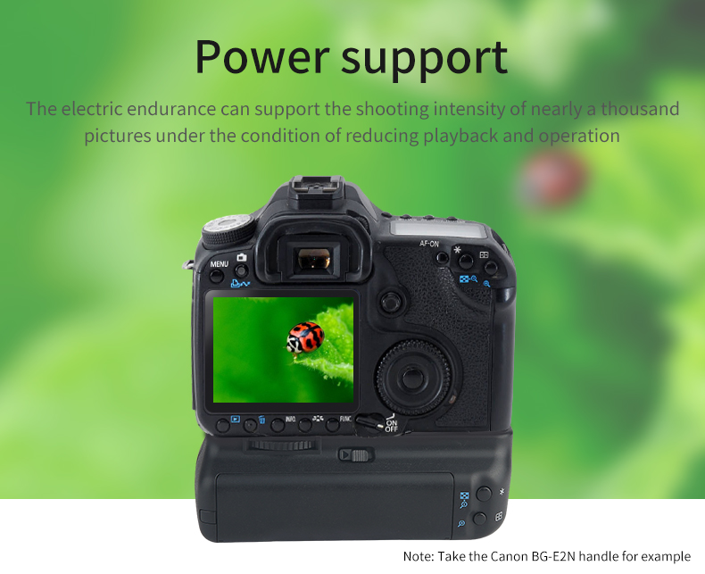 Poignées de batterie pour Nikon D780