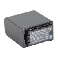 Batteries pour Panasonic VW-VBD98