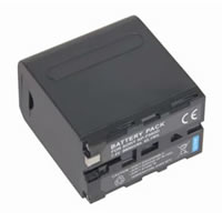 Batteries pour Sony NP-F980D