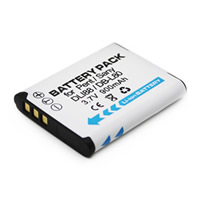 Batteries pour Sanyo Xacti VPC-CG88EX